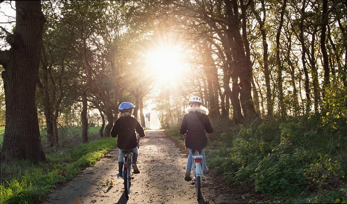 girls, bicycle, helmets, bicycle lane, trees, undergrowth, park, woods, safety, sunny, sunset, bike path, bike, people, 