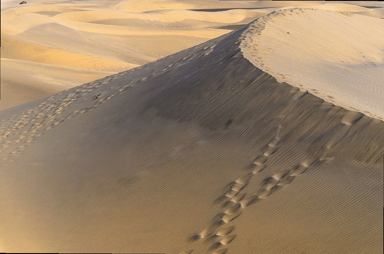 dune, desert, sand, nature, landscape, dry, to travel, hot, outdoors, sand dune, drought, gran canaria, vacation, island